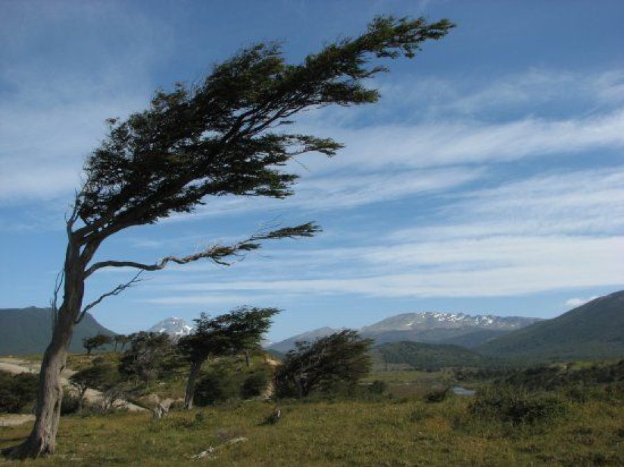 Alerta Por Fuertes Vientos En La Patagonia Fm Fuego 8259