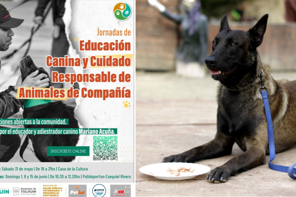 El Municipio de Tolhuin impulsa jornadas gratuitas sobre educación canina y tenencia responsable