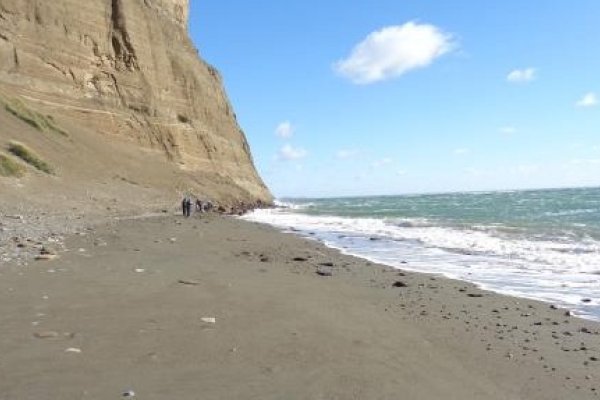 El Gobierno de la Provincia activa protocolo preventivo por detección de mortandad de aves marinas en Rio Grande